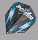 Target Phil Taylor Power Flights Vision GEN 2 standard