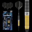 Winmau Steve Beaton SE 90% Tungsten 18gr Barrel/20gr kompl.