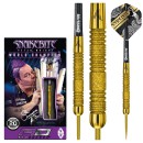 Peter Wright Euro 11 PC20 Gold
